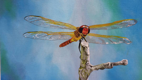Marie Simonon 2022 Dragonfly #3