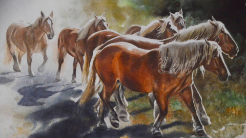 Mauri Virtanen 2022 Group of mares