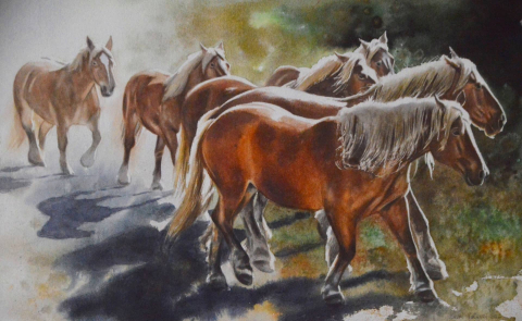 Mauri Virtanen 2022 Group of mares